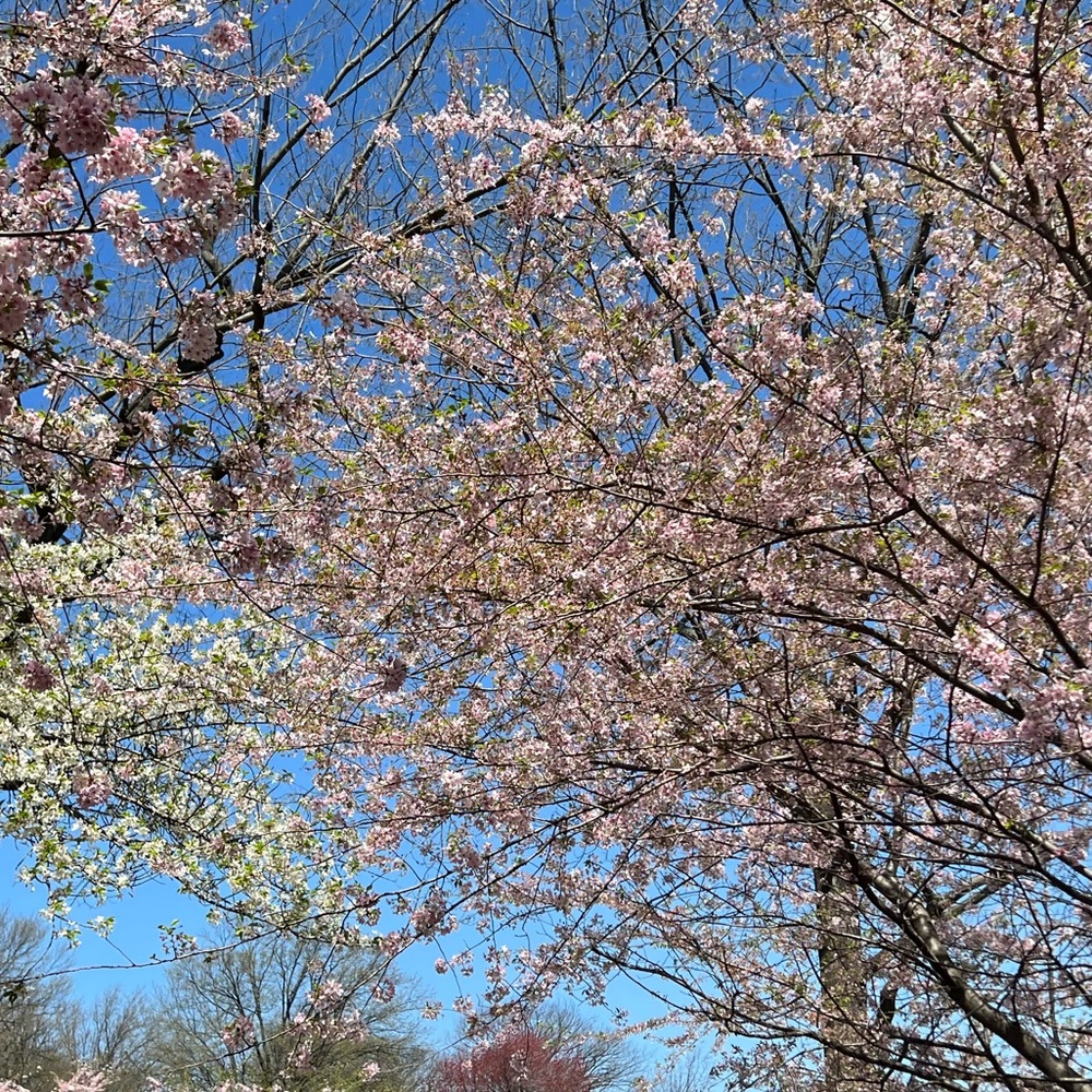 Meet your Posher, Maria